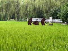 -北坞公园