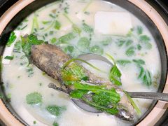 豆腐野生黄丫鱼-黄山悦榕庄明月白云餐厅