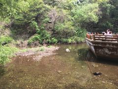 -少华山国家森林公园