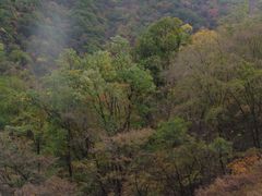 -黑河国家森林公园