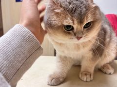 -宠颐生宠物医院外科·内科·皮肤科·影像科(石龙店)