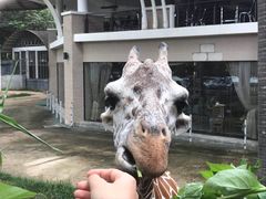 -清迈夜间动物园