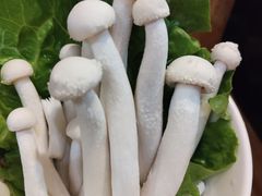 -陈记顺和牛肉火锅(岗顶店)