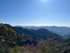 -大岭沟猕猴桃谷风景区
