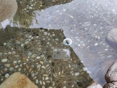 -营口金泰珑悦海景大酒店