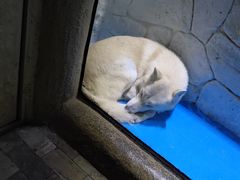 -大连圣亚海洋世界