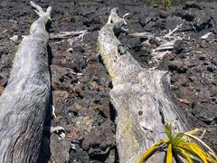 -夏威夷火山国家公园