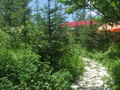 DSC_0341-万利美食生态园