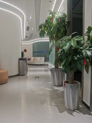 -联合丽格·张菡丽格医疗美容