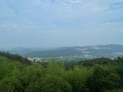 -冶父山国家森林公园