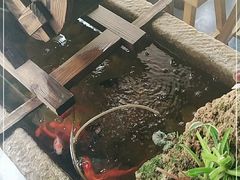 -冯记白土岗辣子鸡