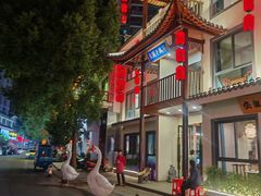 -巢湖名吃·东关老鹅汤(江南风情街店)