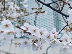 -龙美术馆(西岸馆)
