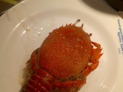 -星伦多自助料理·涮烤一体(嘉兴八佰伴店)