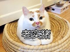 -花花卷卷·鲜食蛋糕(静安久光百货店)