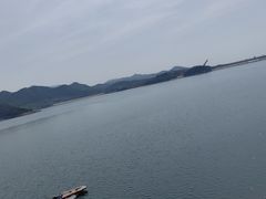 -望湖烤鱼