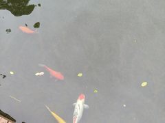 -长阳创谷