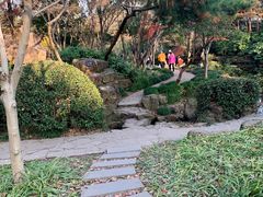 -秋霞圃