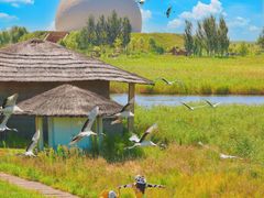 -黑龙江扎龙生态旅游区