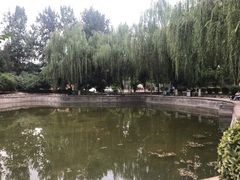-西安市纺织公园