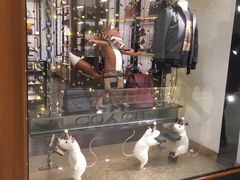 -COACH蔻驰(星光68广场店)