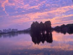 -东湖食堂·湖景餐厅•会议