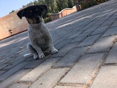 -紫海香堤香草艺术庄园