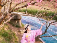 -重庆彩云湖湿地公园