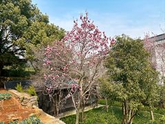 -中国茶叶博物馆(双峰馆区)
