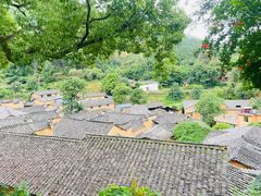 -杨家堂村