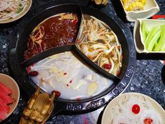 奔驰锅底-蜀大侠火锅(森兰花园城店)