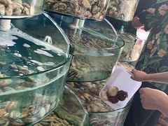-蓝珊甄选海鲜自助·火锅大排档(近阿那亚店)