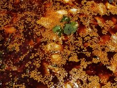 -川渔居—鱼火锅(八方汇店)