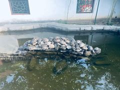 -红螺寺