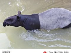 -杭州野生动物世界