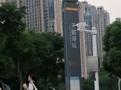 -天鹅湖体育公园