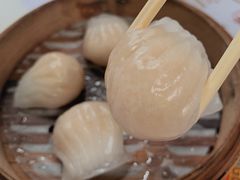 -憶廟街 X 沙角邨(太古城店)