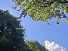 -陕西省红河谷森林公园