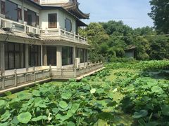 游乐设施-莲湖公园