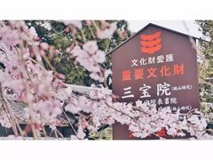 -醍醐寺
