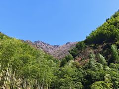 -东天目山风景区