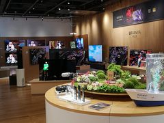 -Sony Store 索尼(来福士店)