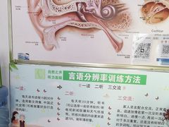 -自然之声助听器·呼吸机(和平店)