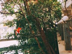 -广东温泉宾馆