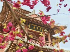 -西安青龙寺遗址景区