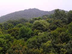 -西湖风景区-江洋畈生态公园