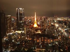 -六本木新城展望台(东京城市景观)