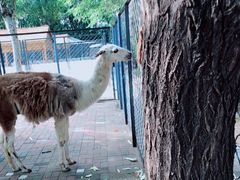 -长白岛森林公园