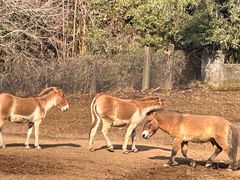 -杭州野生动物世界