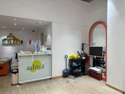 -阿朵拉儿童发型设计(金狮广场店)